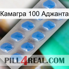 Камагра 100 Аджанта 22